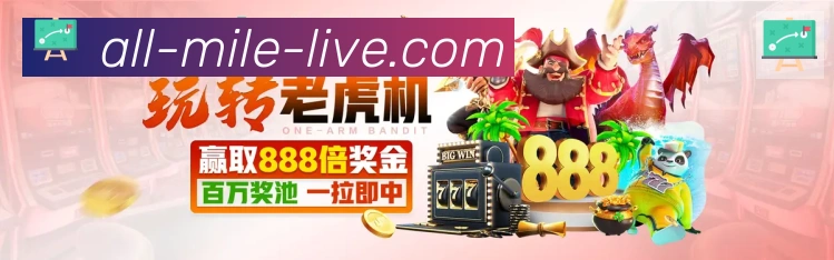 未来规划